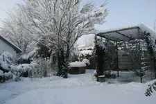 Winter9119.webp