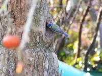 image006.webp