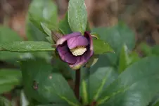 DSC07341.webp