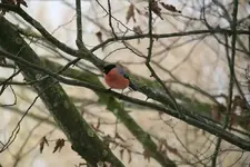 verkleinert-019.webp