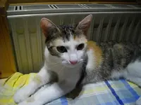 IMGP7358.webp