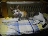 IMGP7357.webp