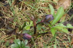 DSC07351.JPG