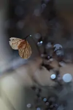 0M3A5688.webp