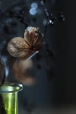 0M3A5697.webp