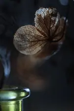 0M3A5698.webp