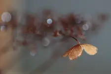 0M3A5686.webp
