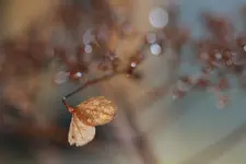 0M3A5687.webp