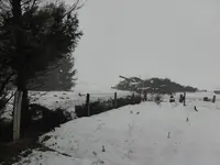 P1110744.webp