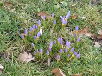 P1110753.webp