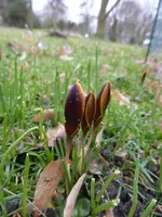 P1110757.webp