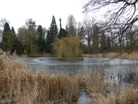 P1110764.webp