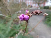 P1110778.webp