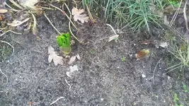 20190209_112723.webp