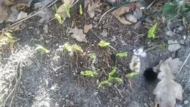 20190209_112751.webp