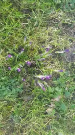 20190209_112947.webp
