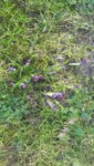 20190209_112947.jpg