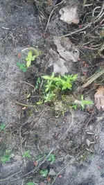 20190209_113114.webp