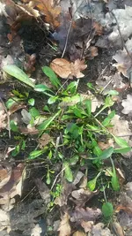 20190209_113245.jpg
