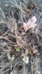 20190209_113530.jpg