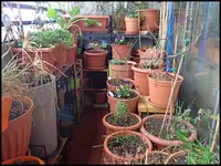 c045.jpg