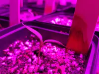 20190210_135039.webp