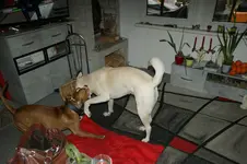 DSC07362.webp