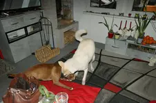 DSC07363.webp