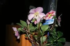 DSC07367.JPG