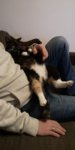IMG-20190209-WA0048.jpeg