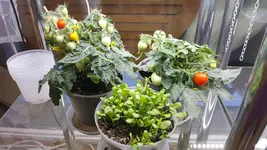 20190208_102846.webp