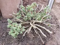 20190212_132600.webp
