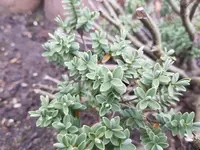 20190212_162543.webp