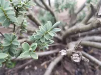 20190212_162601.webp