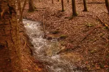 DSC06619-01.webp