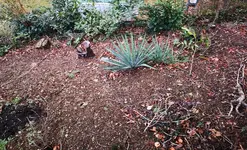 IMG_20190212_172603.jpg