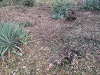 IMG_20190212_172743.webp