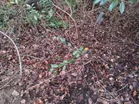 kleine Ecke 2.webp