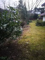 IMG_20190212_172849.webp