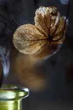0M3A5698.webp