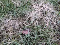 IMG_20190211_151718.webp IMG_20190211_151718.webp