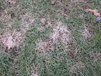 IMG_20190211_151720.webp IMG_20190211_151720.webp