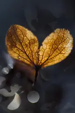 0M3A5892.webp