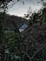IMG_20190213_175424.jpg