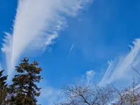 c062.webp