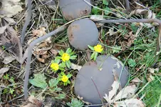 DSC07372.JPG