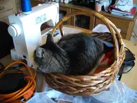 IMGP7421.webp