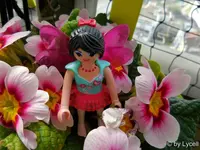 c073.webp