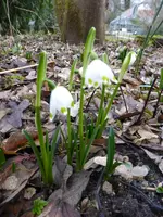 P1110776.webp