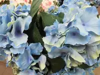 DSCI0717 (1).webp